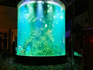 中国カスタム格安スーパーラウンドpmmaガラス水族館クリアシリンダーアクリル魚タンク