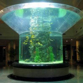 pmmaガラス水槽半円筒perspexクリア魚のタンク