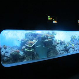 人工キャストアクリル円筒透明な魚の水族館/ビューウィンドウ