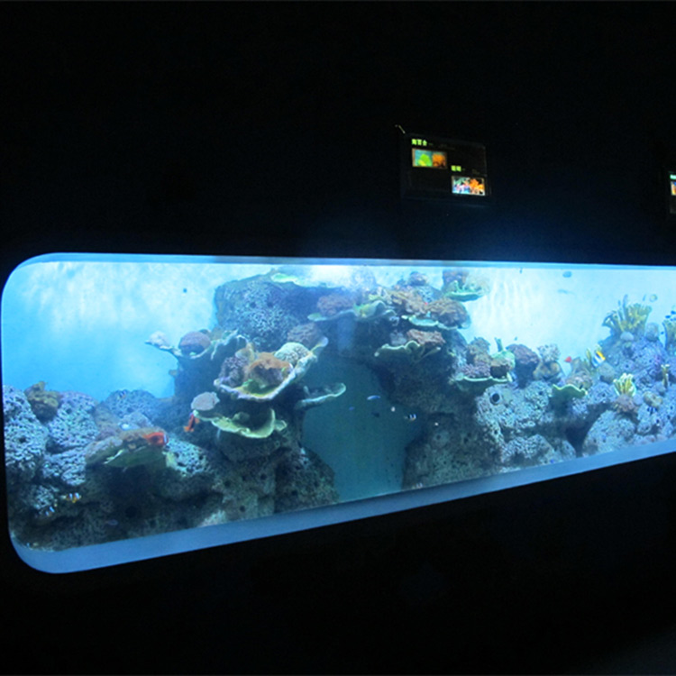 人工キャストアクリル円筒形透明魚の水槽 ビューウィンドウ Yuejing Acrylic