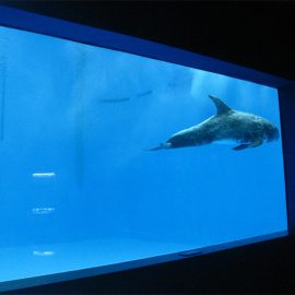 高品質ラージアクリル水族館/プールウィンドウ水中の厚い窓のシート