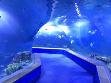 透明アクリルガラストンネル水族館
